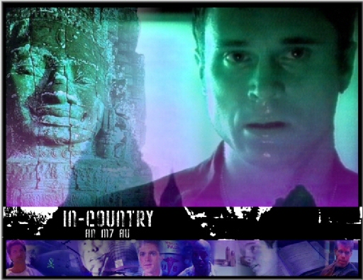 In-country, graphic by Auburn